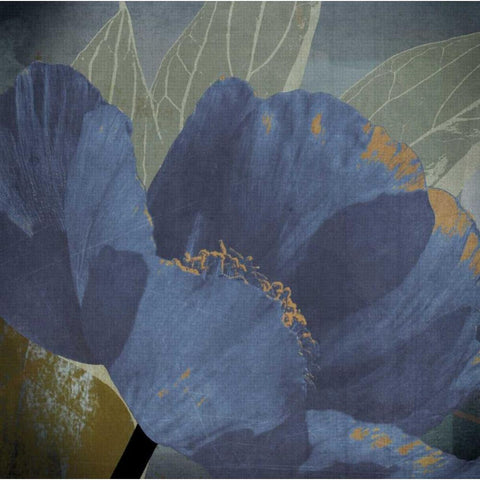 Blooming Jewels Black Modern Wood Framed Art Print by Lacie, Robert