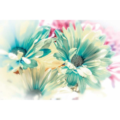 Colored Stars White Modern Wood Framed Art Print by Marie, Dina