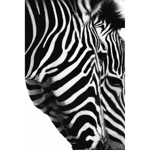 Partners In Crime White Modern Wood Framed Art Print by Marie, Dina