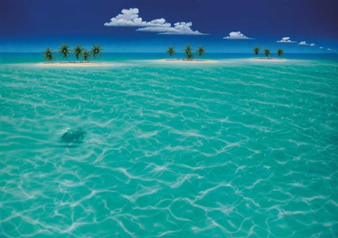 Turtle Crossing Black Ornate Wood Framed Art Print with Double Matting by Mackin, Dan