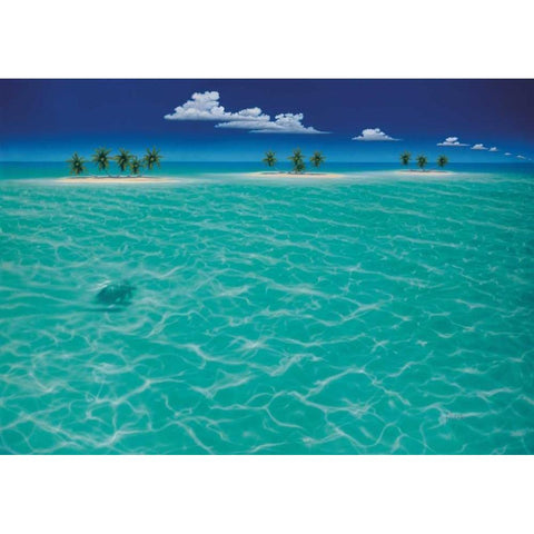 Turtle Crossing Black Modern Wood Framed Art Print with Double Matting by Mackin, Dan