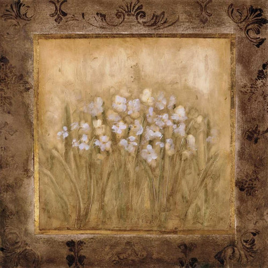 Image Only