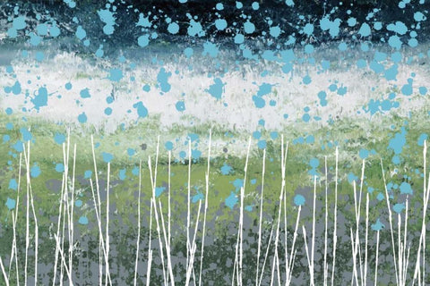 Aqua Splash Black Ornate Wood Framed Art Print with Double Matting by Nichtberger, Liz