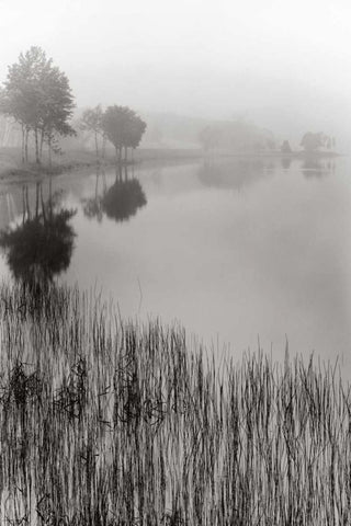 Lakeside Mist Black Ornate Wood Framed Art Print with Double Matting by Nagler, Monte