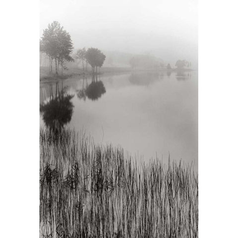 Lakeside Mist Black Modern Wood Framed Art Print by Nagler, Monte