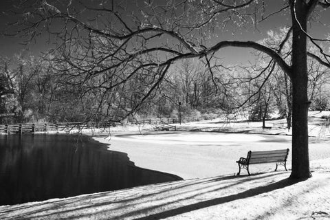 Heritage Pond in Winter Black Ornate Wood Framed Art Print with Double Matting by Nagler, Monte