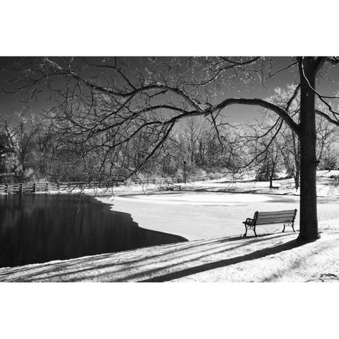Heritage Pond in Winter Gold Ornate Wood Framed Art Print with Double Matting by Nagler, Monte