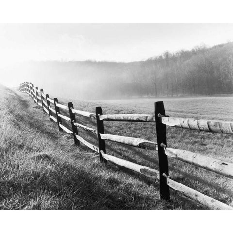Vanishing Fence Gold Ornate Wood Framed Art Print with Double Matting by Nagler, Monte