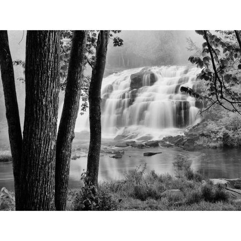 Bond Falls and Trees Black Modern Wood Framed Art Print with Double Matting by Nagler, Monte
