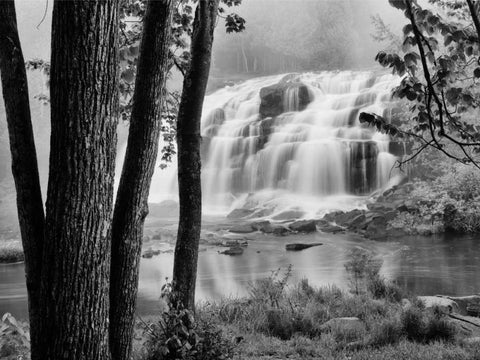 Bond Falls and Trees Black Ornate Wood Framed Art Print with Double Matting by Nagler, Monte