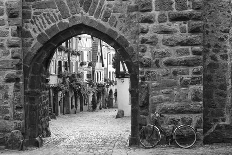 Bicycle of Riquewihr Black Ornate Wood Framed Art Print with Double Matting by Nagler, Monte