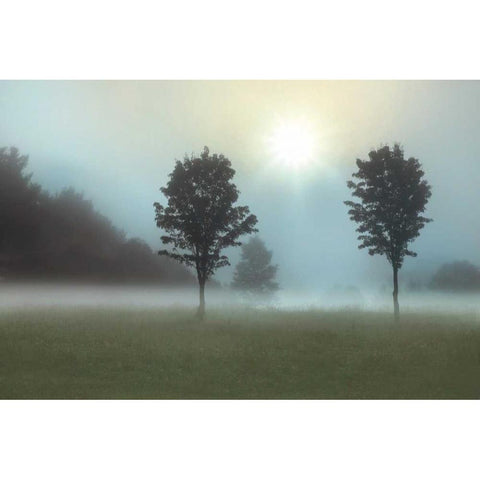 Sunburst Gold Ornate Wood Framed Art Print with Double Matting by Nagler, Monte