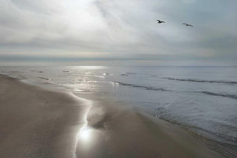 Beach Flight Black Ornate Wood Framed Art Print with Double Matting by Nagler, Monte