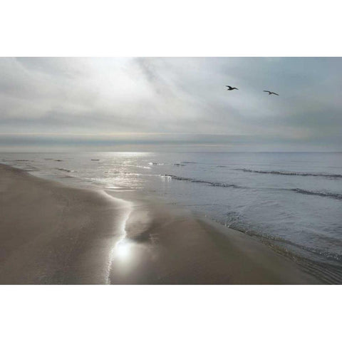 Beach Flight Black Modern Wood Framed Art Print by Nagler, Monte