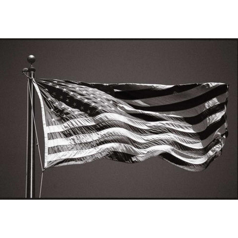 Americana Black Modern Wood Framed Art Print by OMara, James