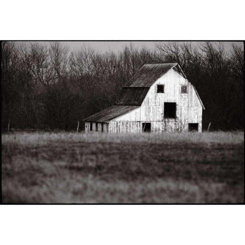 Americana Black Modern Wood Framed Art Print by OMara, James