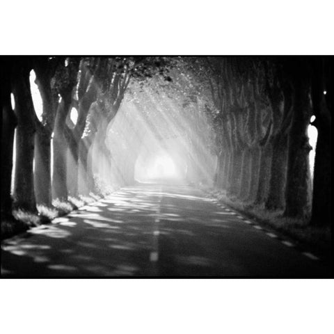 Provence Black Modern Wood Framed Art Print with Double Matting by OMara, James