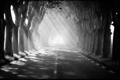 Provence Black Ornate Wood Framed Art Print with Double Matting by OMara, James