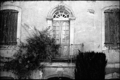 Provence White Modern Wood Framed Art Print with Double Matting by OMara, James