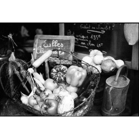 Provence Black Modern Wood Framed Art Print with Double Matting by OMara, James