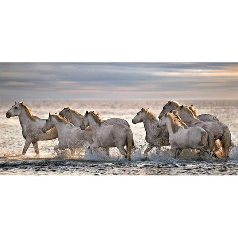 Running Horses Gold Ornate Wood Framed Art Print with Double Matting by Ortega, Xavier