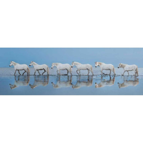 Walk On White Modern Wood Framed Art Print by Ortega, Xavier