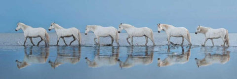 Walk On White Modern Wood Framed Art Print with Double Matting by Ortega, Xavier