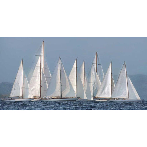 Sailing Team White Modern Wood Framed Art Print by Ortega, Xavier