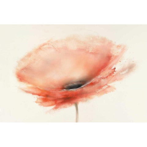Chiffon Poppy Black Modern Wood Framed Art Print by Prior, J.P.