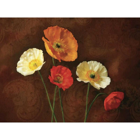 Poppy Perfection I Black Modern Wood Framed Art Print by Pahl, Janel