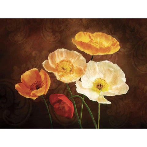 Poppy Perfection II Black Modern Wood Framed Art Print by Pahl, Janel