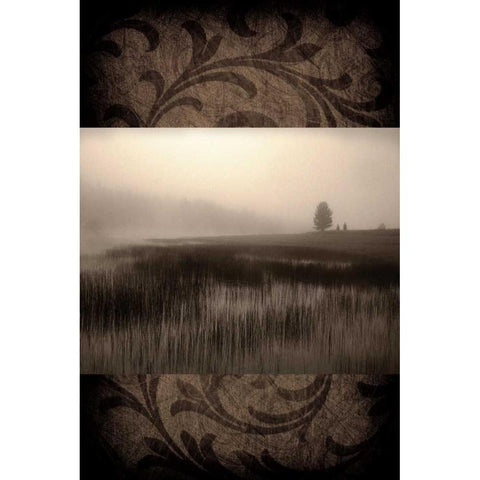 Misty Morning Black Modern Wood Framed Art Print by Pahl, Janel