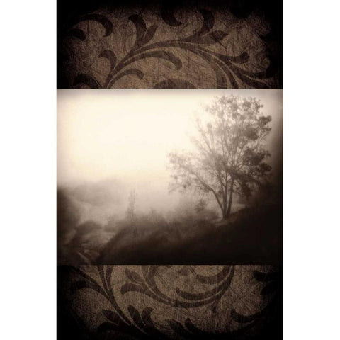 Early Morning Fog Black Modern Wood Framed Art Print with Double Matting by Pahl, Janel