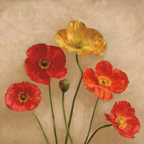 Graceful Spring II White Modern Wood Framed Art Print by Pahl, Janel