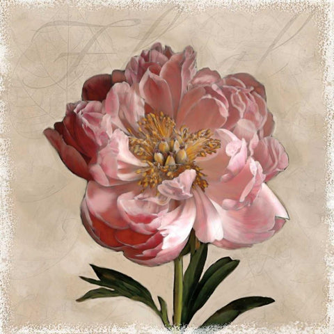 Peony I White Modern Wood Framed Art Print with Double Matting by Pahl, Janel