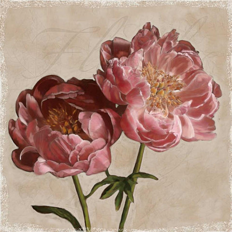 Peony II White Modern Wood Framed Art Print with Double Matting by Pahl, Janel