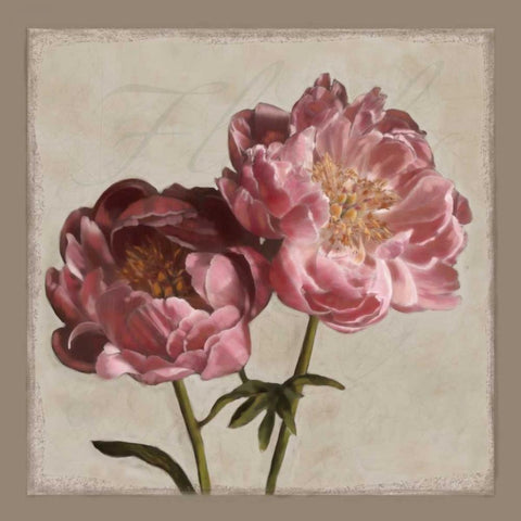 Botanical Peony White Modern Wood Framed Art Print with Double Matting by Pahl, Janel