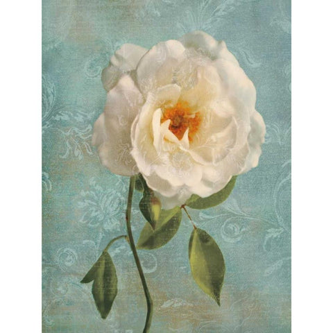 Purity I White Modern Wood Framed Art Print by Pahl, Janel
