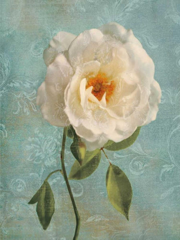 Purity I Black Ornate Wood Framed Art Print with Double Matting by Pahl, Janel