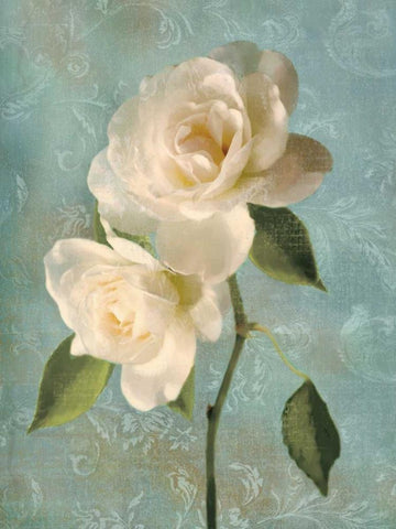 Purity II White Modern Wood Framed Art Print with Double Matting by Pahl, Janel