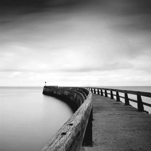 Into the Mist White Modern Wood Framed Art Print by Papiorek, Nina