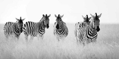 Meeting Place Black Ornate Wood Framed Art Print with Double Matting by Papiorek, Nina