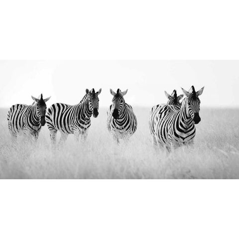 Meeting Place Black Modern Wood Framed Art Print by Papiorek, Nina