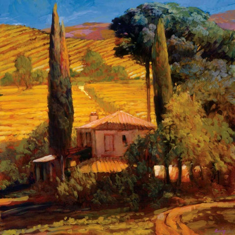 Tuscan Morning Light White Modern Wood Framed Art Print with Double Matting by Craig, Philip