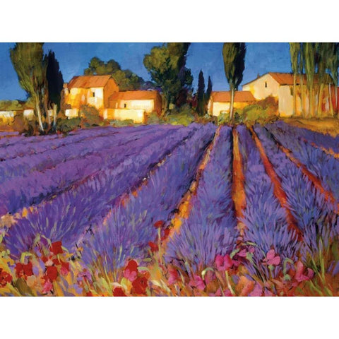 Late Afternoon, Lavender Fields Black Modern Wood Framed Art Print with Double Matting by Craig, Philip