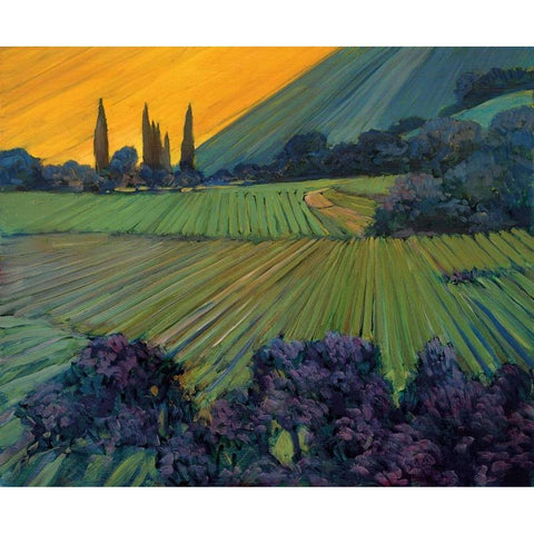 Champagne Vineyards Black Modern Wood Framed Art Print by Craig, Philip