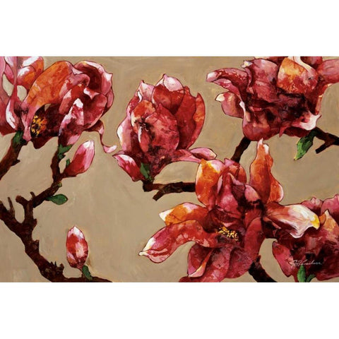 Elegant Magnolia Black Modern Wood Framed Art Print with Double Matting by Kamikura, Joyce