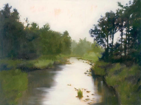 Foothills Stream Black Ornate Wood Framed Art Print with Double Matting by Lightell, Megan