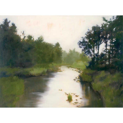 Foothills Stream Black Modern Wood Framed Art Print with Double Matting by Lightell, Megan