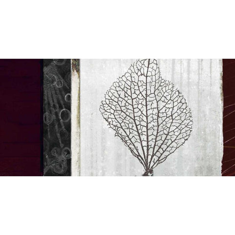 Coral I Black Modern Wood Framed Art Print with Double Matting by Li-Leger, Noah